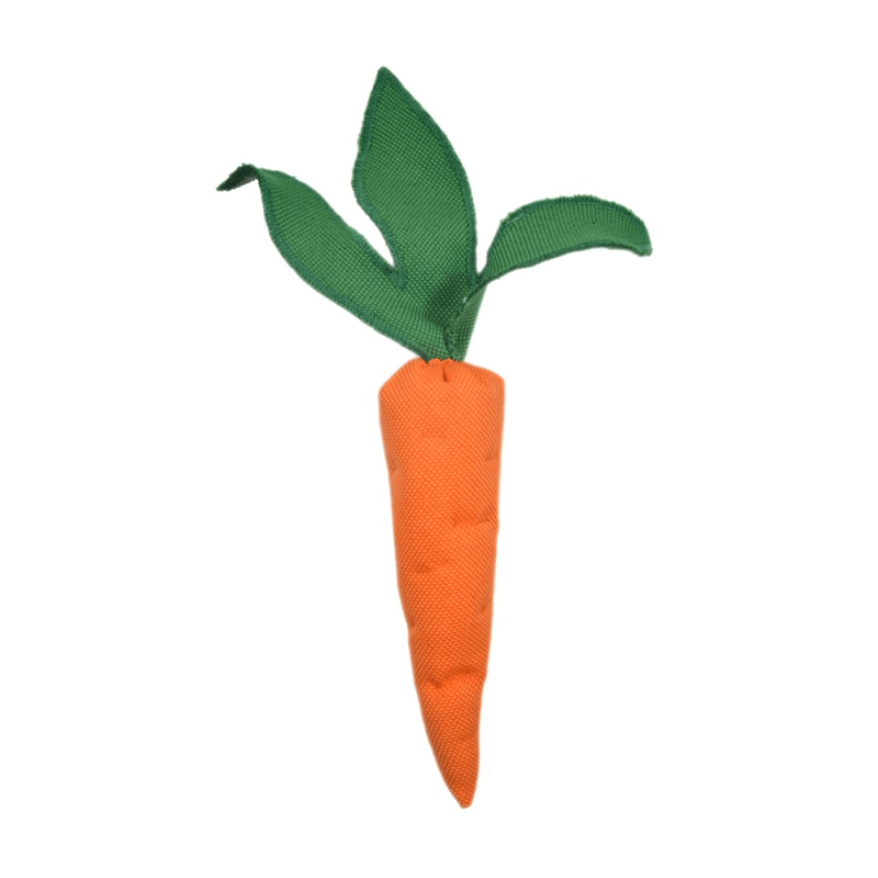 Carrot Toy