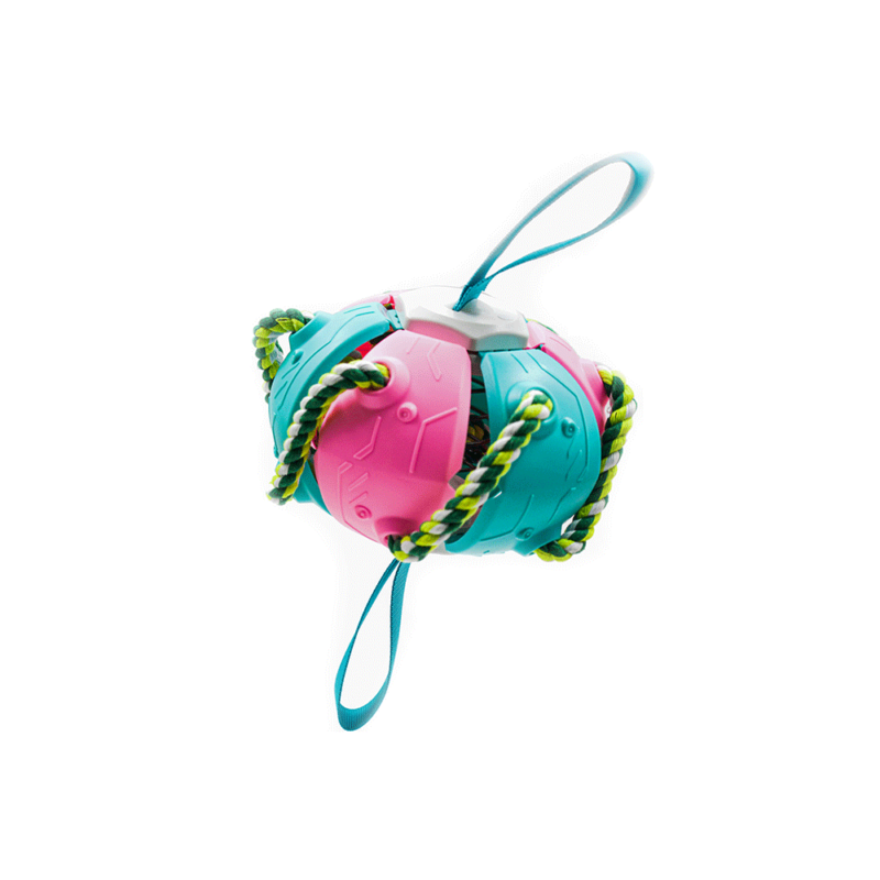 Happy Frisbee Ball