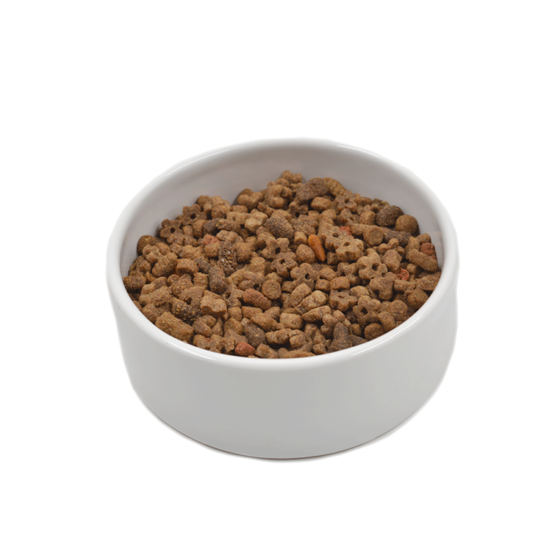 Fish Ceramic Feeding Bowl