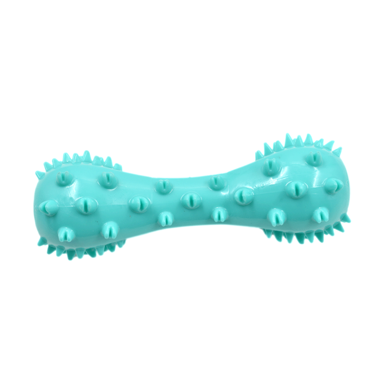 Voice Dog Toothbrush