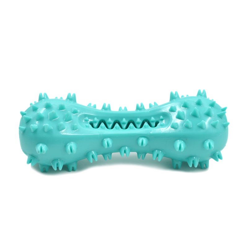 Voice Dog Toothbrush