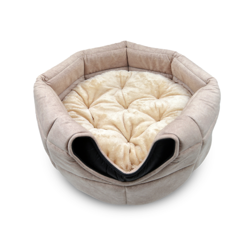 TORANJ BED