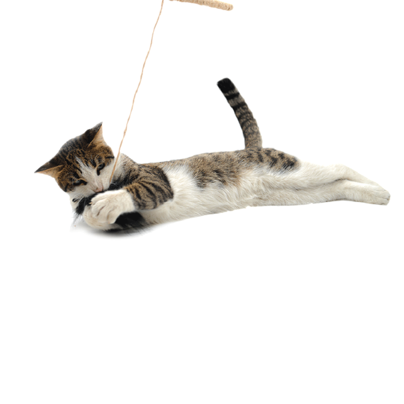 Cat Stick Toy