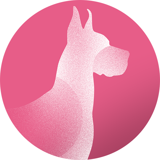 Köpek